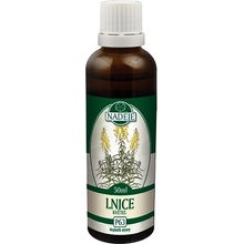 Lnice tinktura z pupenů pomáhá trávení 50 ml