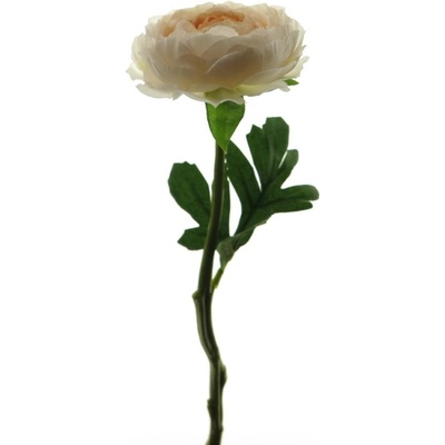 pryskyřník - ranonculus (spray) růžový 31 cm