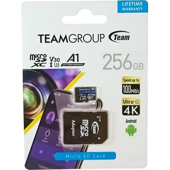 Team Group microSDXC 256GB TEAUSDX256GIV30A103