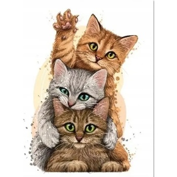 Norimpex - Puzzle Diamant painting: Cat pyramid 30x40cm - 1 - 39 piese