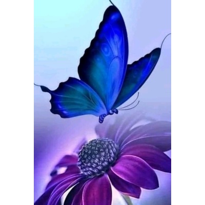 Пеперуда и цвете 40/40см