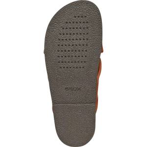 Geox Кожени чехли D ADELASH (D55YWB000TUC6014)