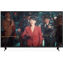 Panasonic TX-65FX600E