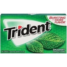 Mondelez Trident Spearmint 14 ks 27 g