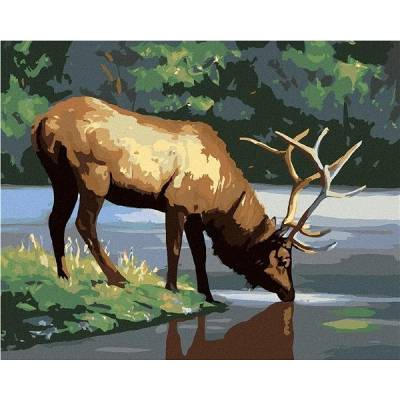 zuty Malování Podle Čísel Los U Vody D. Rusty Rust 40 x 50 Cm Plátno Rám