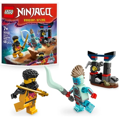 LEGO® Ninjago 30700 Dragons Rising – Zboží Mobilmania