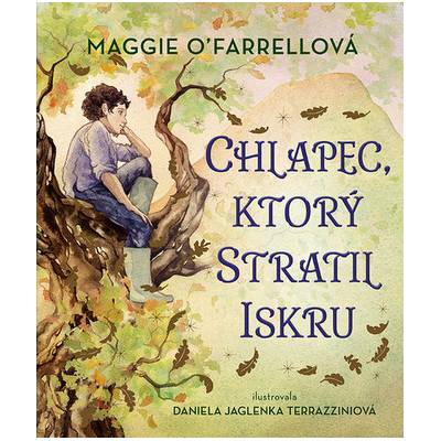 Chlapec, ktorý stratil iskru