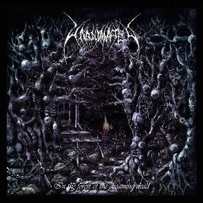 Sony Music Unanimated: In the Forest of the Dreaming - CD (041840)