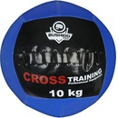 Bushido Wall ball 10 Kg