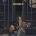 Birdy - Young Heart (CD) (0190295079888)