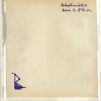 Babyshambles - Down In Albion (2 LP) (5050159824014)