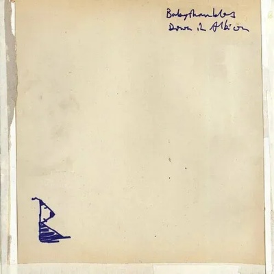Babyshambles - Down In Albion (2 LP) (5050159824014)