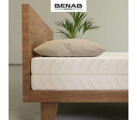 Benab Fyzio Plus