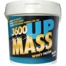 MUSKULVIT MASS UP 3600 1000 g