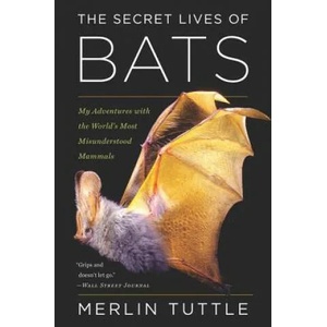 Secret Lives of Bats (ISBN: 9780544815599)