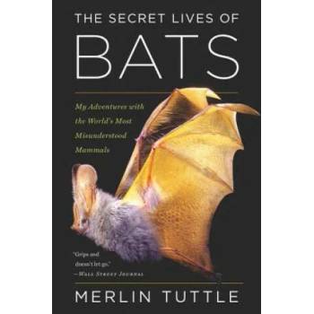 Image 1 of Secret Lives of Bats