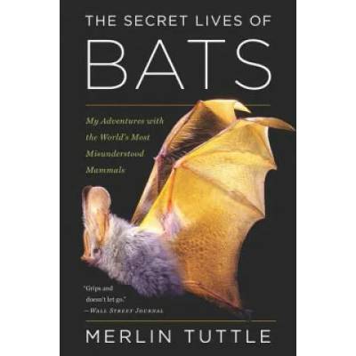 Secret Lives of Bats
