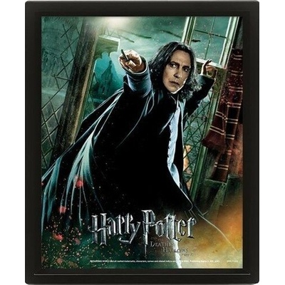 Harry Potter Obraz 3D - Snape