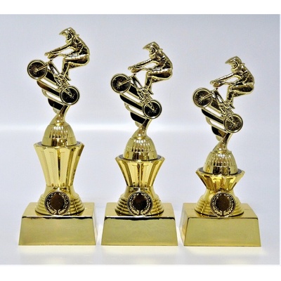 VIZINGR Cyklo trofeje X631-3-P438.01 X633-P438.01/24 cm