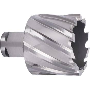 ABSE N-HS-W19-0440025