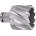 ABSE N-HS-W19-0440025
