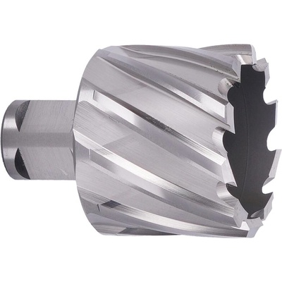 ABSE N-HS-W19-0440025