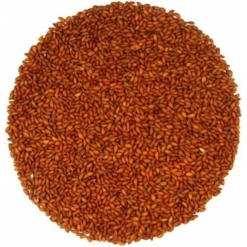 Bestent Žerucha na nakličovanie 5g vzorka