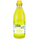 IV San Bernard Zenzero 1000 ml