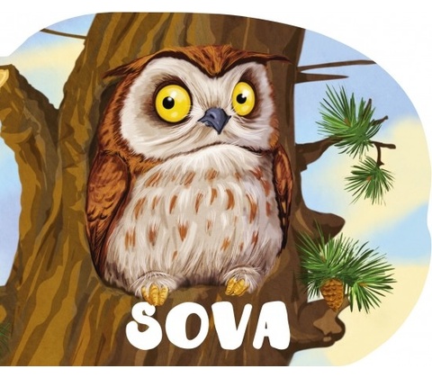 Sova