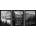 Wallity Картини в комплект от 3 бр. 35x45 cm Black & White - Wallity (364LUL1267)