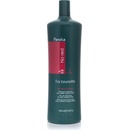 Fanola No Red Shampoo 1000 ml