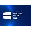 HP Microsoft Windows Server 2022 Remote Desktop Services CAL 5 Device LTU P46222-B21