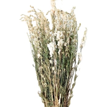 Sušená ostrožka (Delphinium) bílá svazek