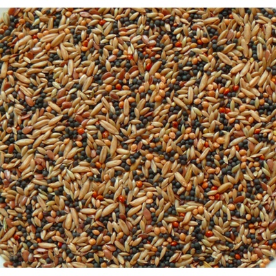 Avicentra Classic Menu Kanárik 4kg