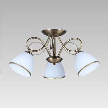 Image 1 of PREZENT Aster 61450