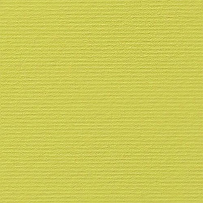 Fabriano Картон Elle Erre, 70 x 100 cm, 220 g/m2, № 125, кедър (46470125/10_CEDRO)