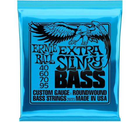 Ernie Ball P02835