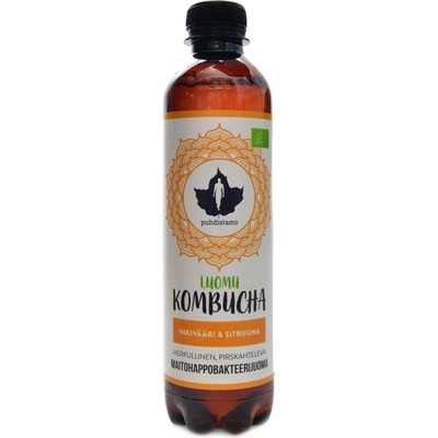 Puhdistamo Kombucha BIO 370 ml