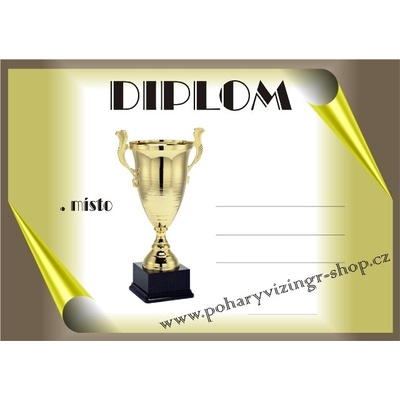 VIZINGR Diplom A4 D č.46