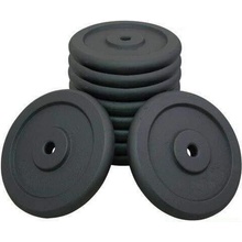 Sedco kotouč na činku 29mm 10 kg