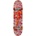 Red Dragon Fire Digi Chung