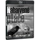 Nabarvené ptáče BD