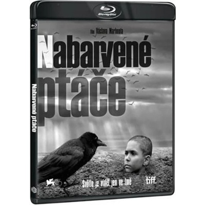 Nabarvené ptáče BD