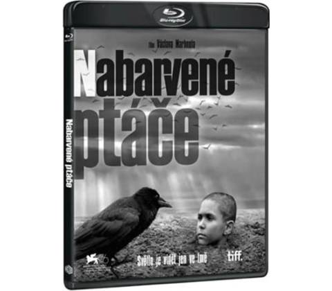Nabarvené ptáče BD