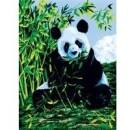 Malování obrázků podle čísel na plátno Panda