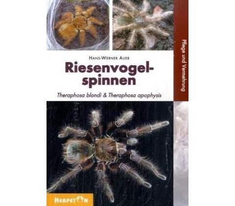 Riesenvogelspinnen