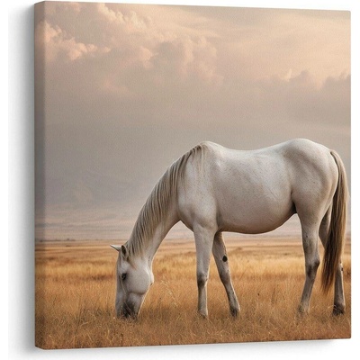 Obraz osamělý kůň na louce - 50x50