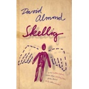 Skellig - David Almond