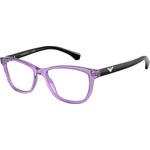 Giorgio Armani EA3099 6197
