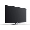 Loewe bild i.48 DR+